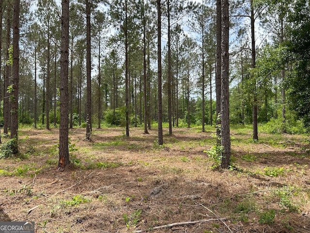 Listing photo 3 for 0 Springhaven Rd Lot 16, Dexter GA 31019