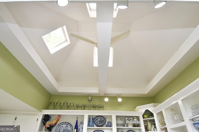 interior details with a skylight and track lighting