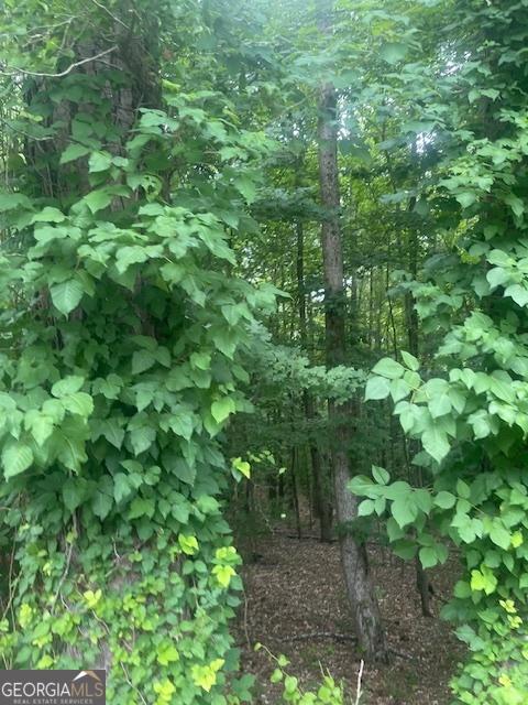 0 Butner Rds, Atlanta, GA 30331
