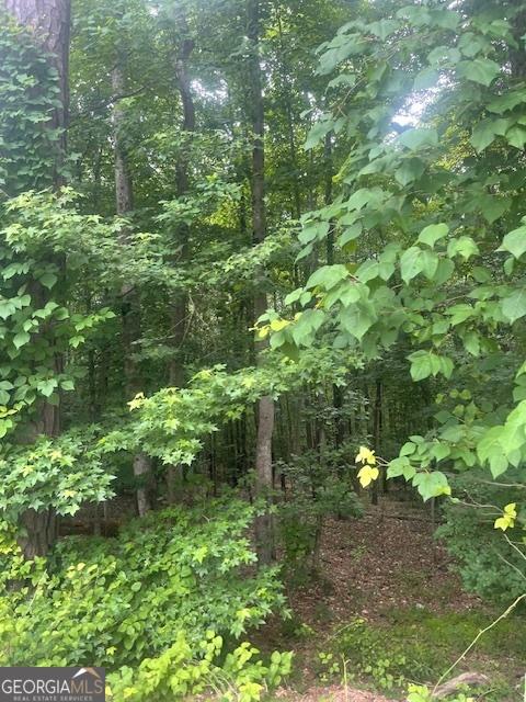 0 Butner Rds, Atlanta, GA 30331