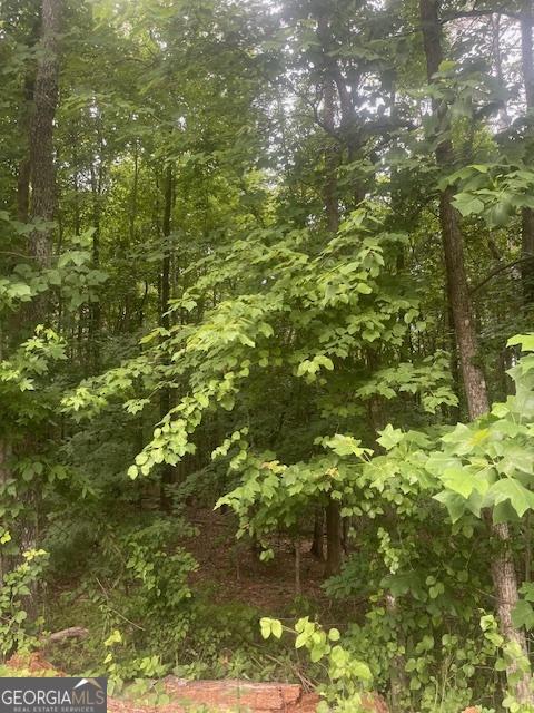 0 Butner Rds, Atlanta, GA 30331
