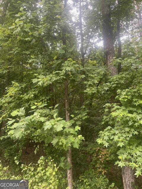 0 Butner Rds, Atlanta, GA 30331