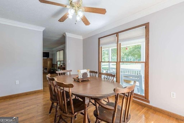 dining room featuring ceiling fan, ornamental molding, and light wood-type flooring