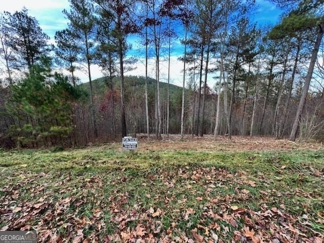 LT62 Ridge Peak Vw Lot 62, Blairsville GA, 30512 land for sale