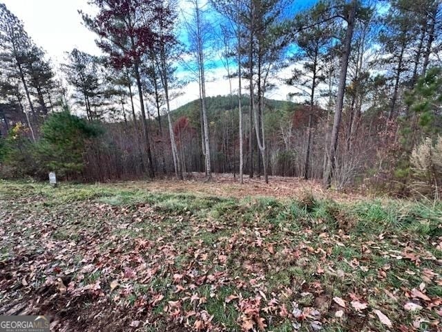 Listing photo 2 for LT62 Ridge Peak Vw Lot 62, Blairsville GA 30512