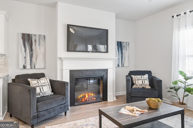 living room with light hardwood / wood-style floors