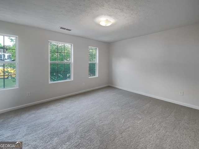 6531 Arbor Gate Dr SW # 12, Mableton, GA 30126 - unfurnished room with carpet flooring, plenty of natural light, and a textured ceiling