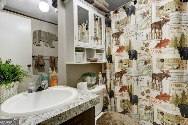 bathroom featuring ornamental molding, a textured ceiling, toilet, and vanity