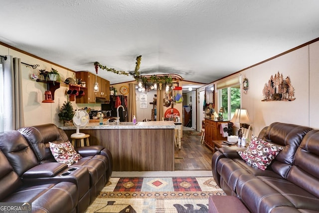 living room featuring sink, dark hardwood / wood-style flooring, a textured ceiling, and ornamental molding