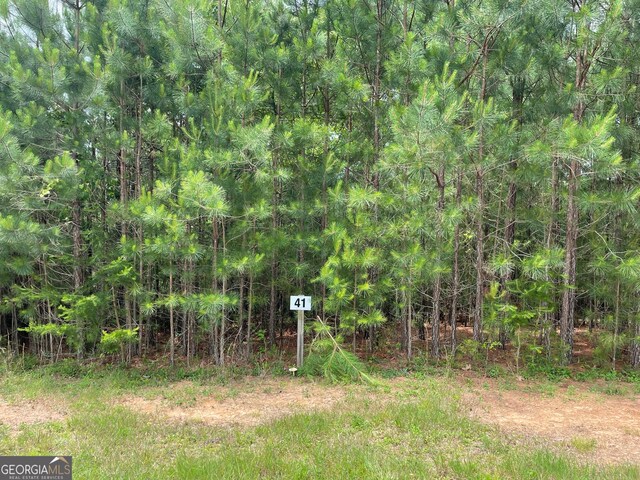 Listing photo 3 for LOT41 Northshore, Blairsville GA 30512