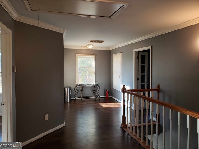 hall featuring dark hardwood / wood-style flooring and ornamental molding