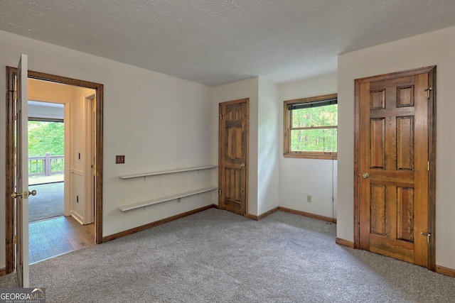 empty room with a wealth of natural light, light colored carpet, and a textured ceiling