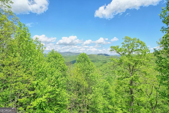 view of mountain feature