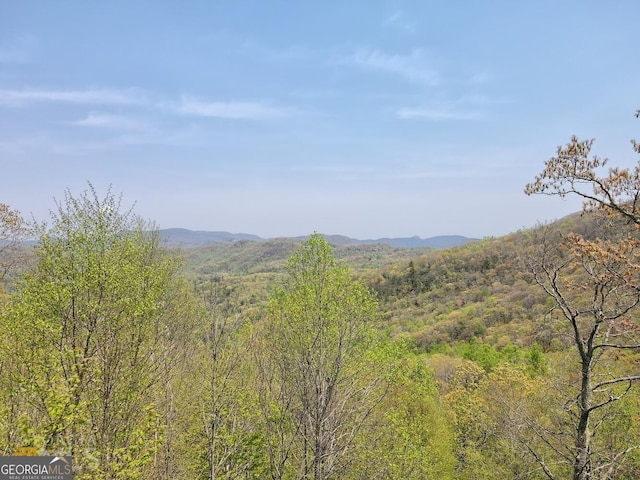 view of mountain feature