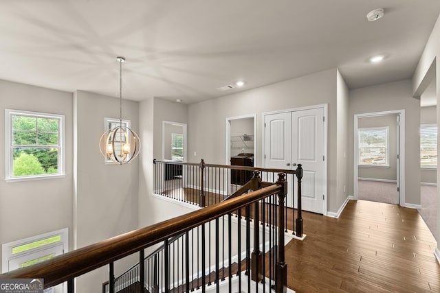 corridor with an inviting chandelier, a wealth of natural light, and dark wood-type flooring