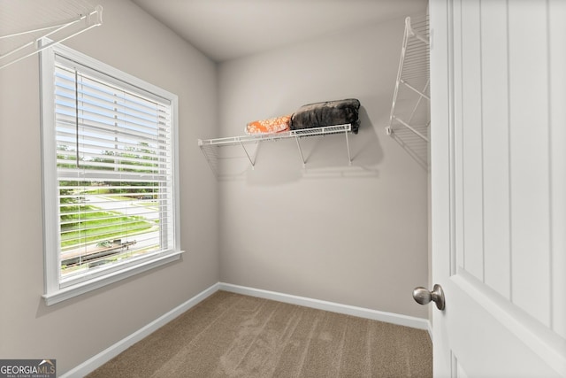 walk in closet featuring light colored carpet