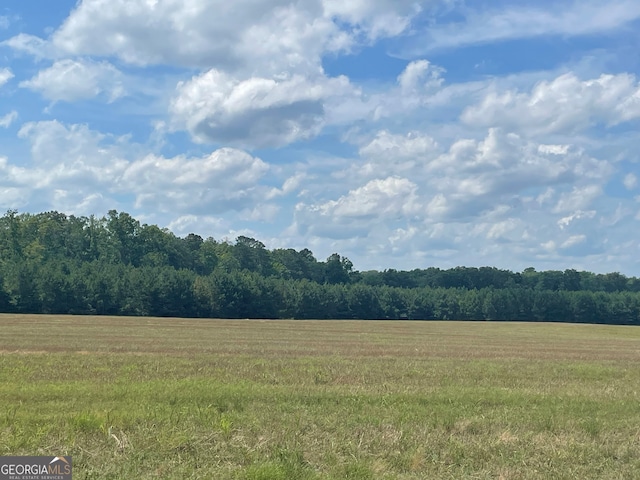 0 Cannon Rd, Sharpsburg GA, 30277 land for sale