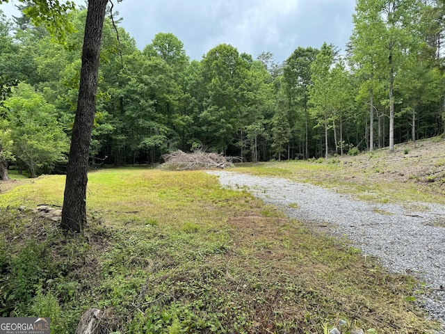 0 Chastain Rd, Sautee Nacoochee GA, 30571 land for sale