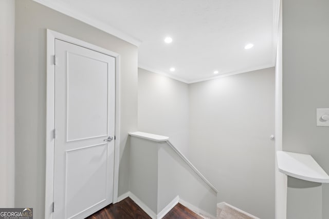 interior space featuring crown molding and dark wood-type flooring