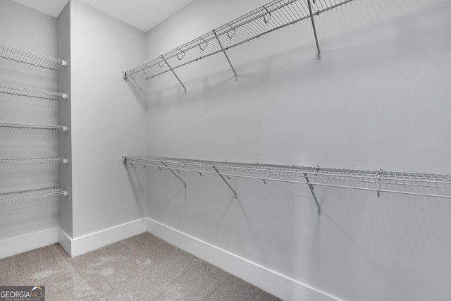 spacious closet with carpet flooring