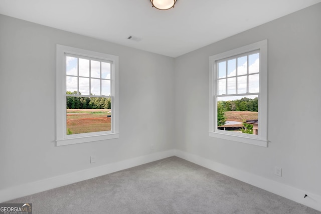 unfurnished room with carpet floors and a healthy amount of sunlight