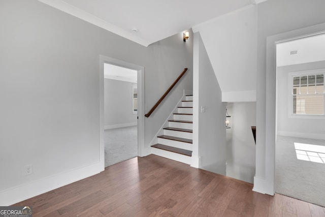 stairs featuring hardwood / wood-style flooring and ornamental molding