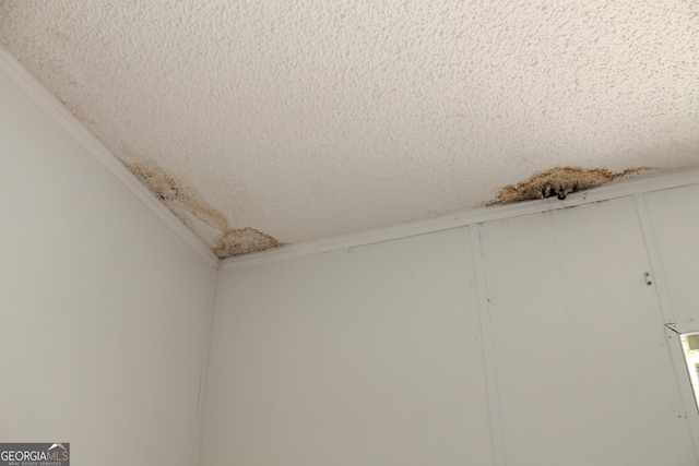 interior details featuring a textured ceiling and ornamental molding