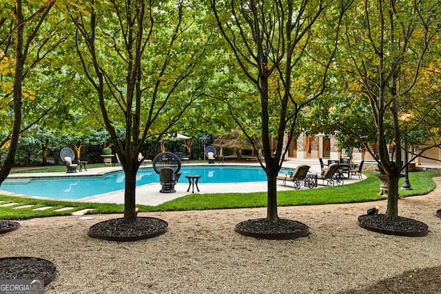 view of pool featuring a patio