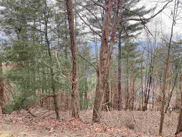 LT58 Mountain Top Rd, Blairsville GA, 30512 land for sale