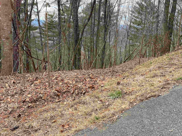 Listing photo 3 for LT58 Mountain Top Rd, Blairsville GA 30512