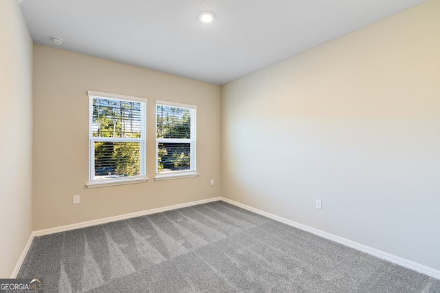 spare room featuring carpet floors