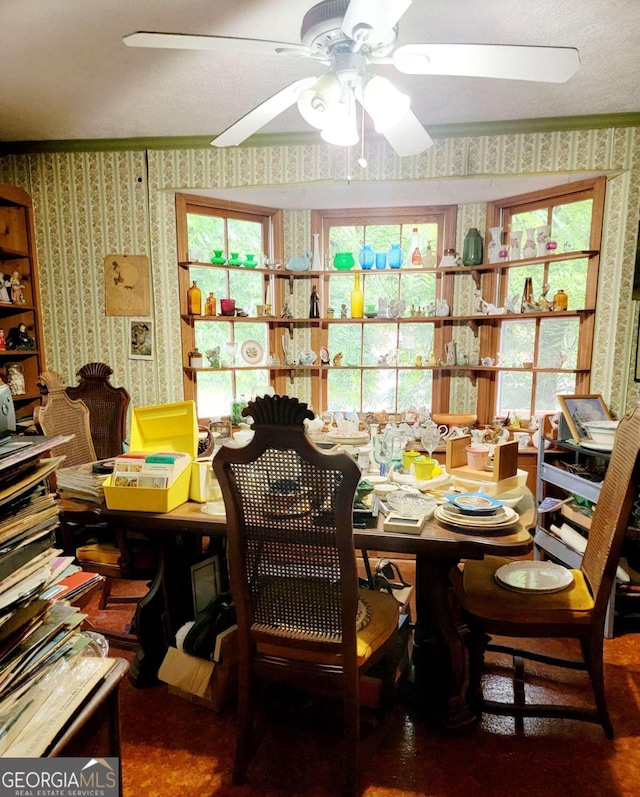 dining area with ceiling fan