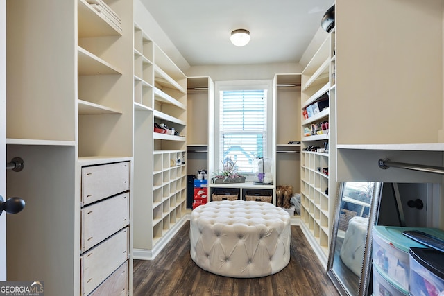 spacious closet featuring dark wood-type flooring