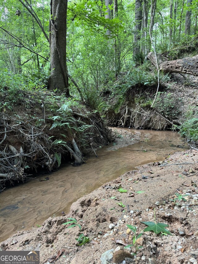 view of local wilderness