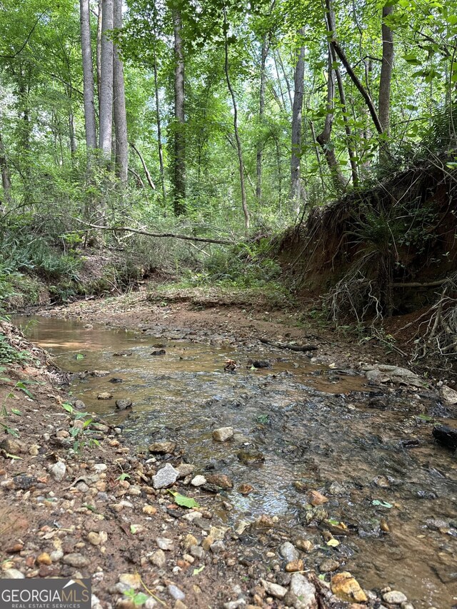 view of local wilderness