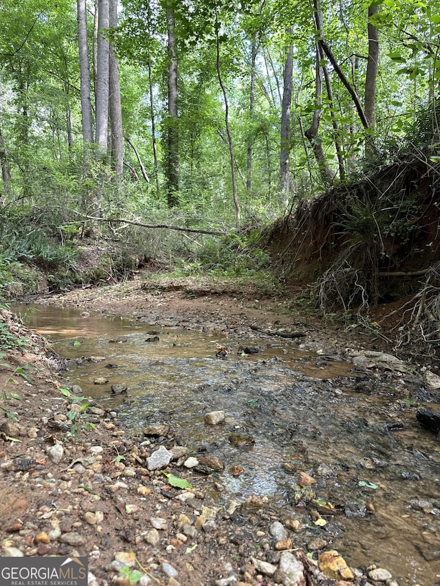 view of local wilderness