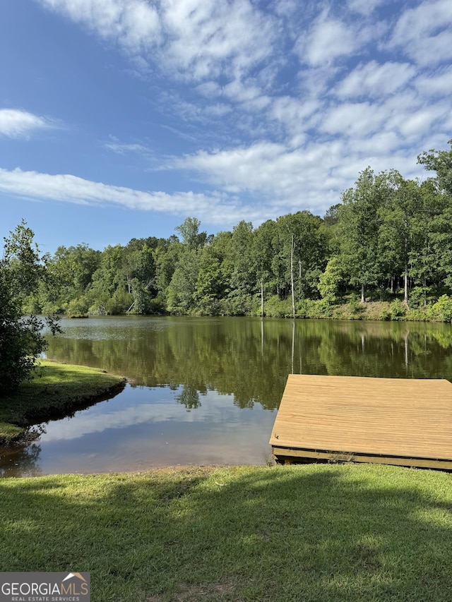 view of dock featuring a lawn and a water view