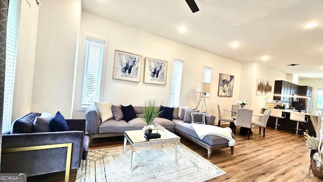 living room featuring light hardwood / wood-style floors