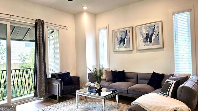 living room with hardwood / wood-style flooring and a healthy amount of sunlight