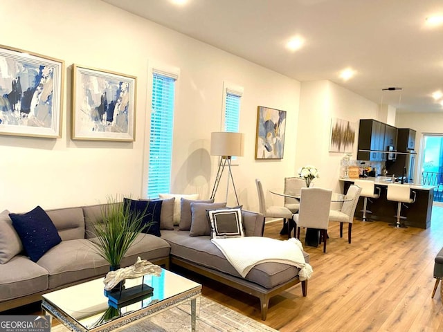 living room featuring light wood-type flooring