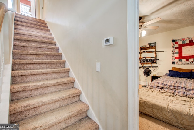 stairs featuring ceiling fan, carpet floors, and a textured ceiling