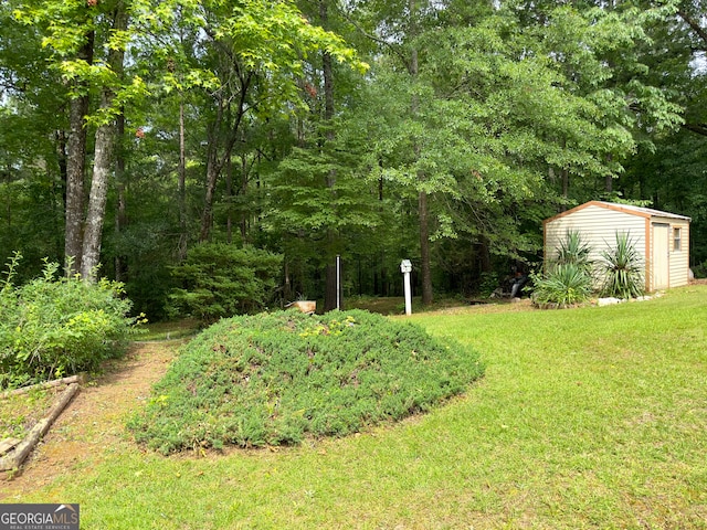 view of yard featuring a storage shed