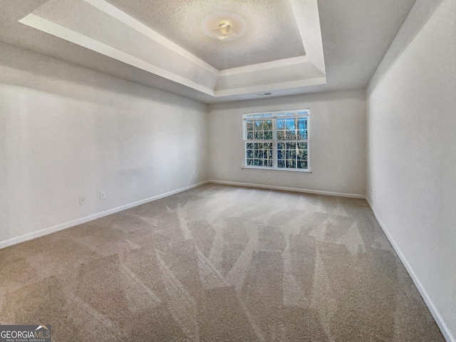 spare room featuring a tray ceiling, carpet floors, and a textured ceiling