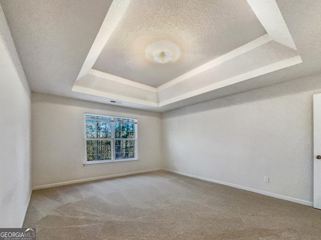 carpeted empty room with a raised ceiling and a textured ceiling