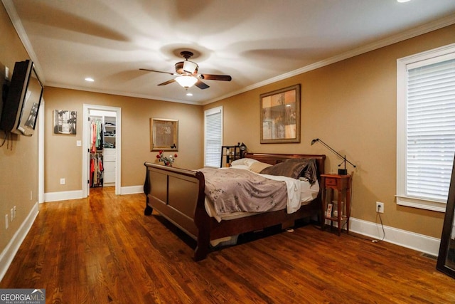 bedroom with ornamental molding, a walk in closet, dark wood-type flooring, and ceiling fan