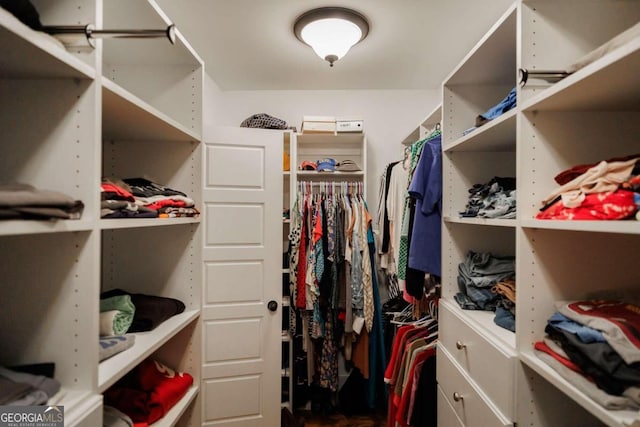 view of walk in closet