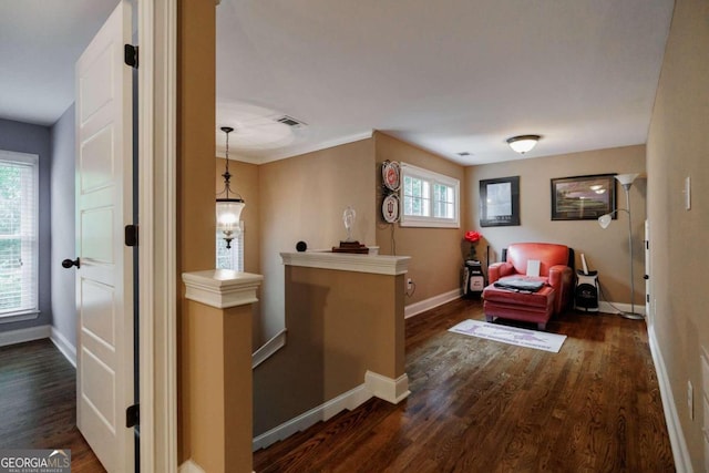 interior space with dark hardwood / wood-style floors