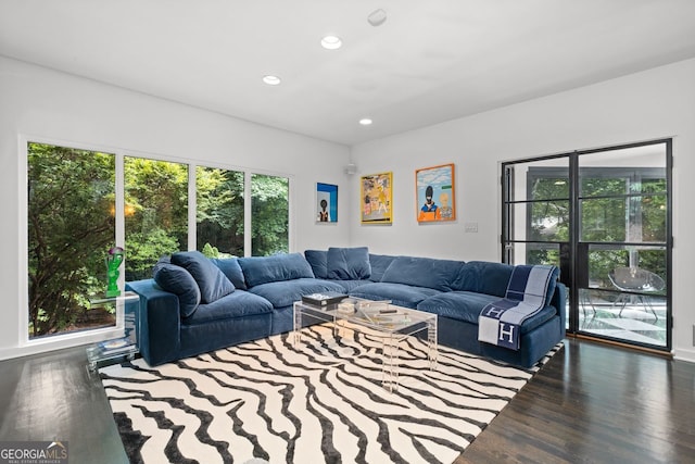 living room with dark hardwood / wood-style floors and a healthy amount of sunlight