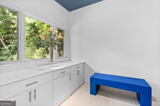 bathroom featuring a wealth of natural light, vanity, and tile floors