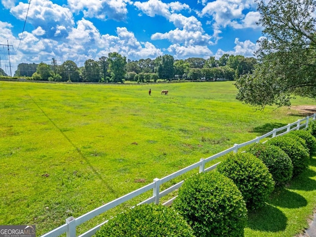 view of yard with a rural view